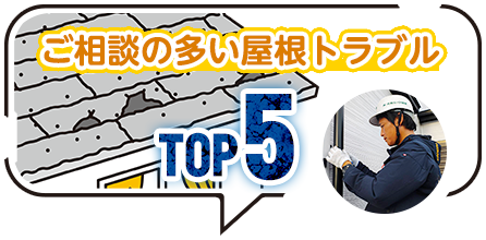 ご相談の多い屋根トラブルTOP5